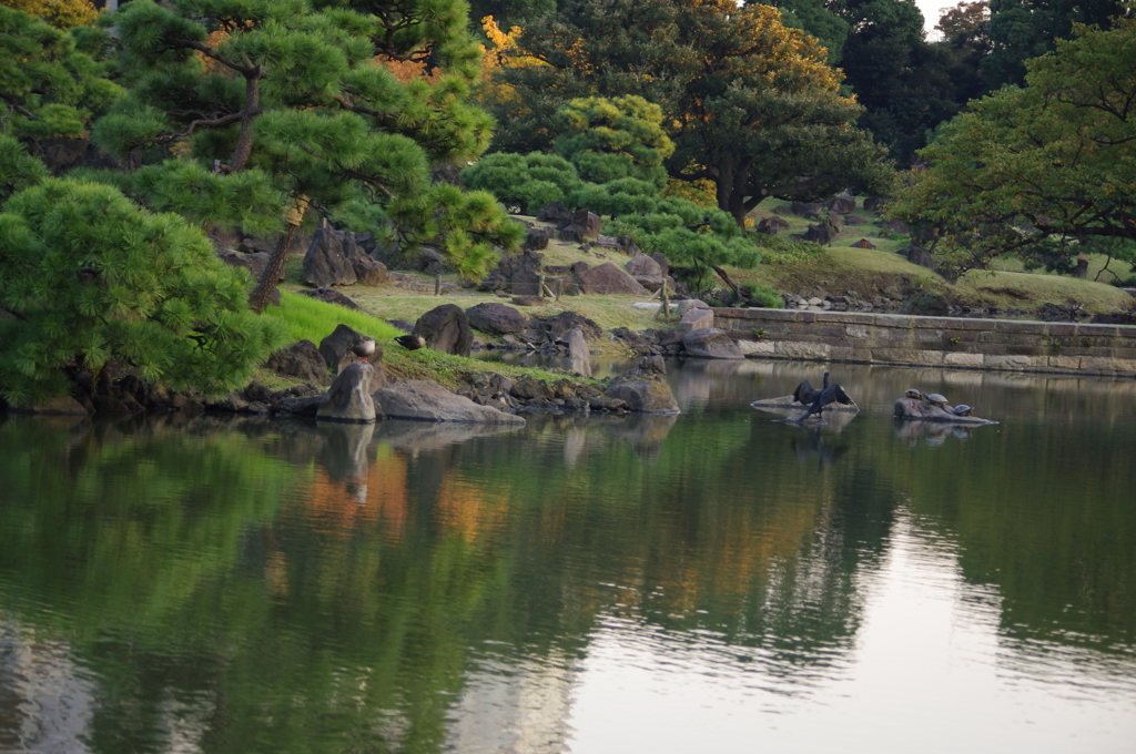 秋の庭園