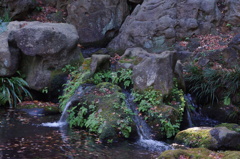 紅葉も流れる滝