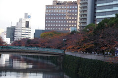 桜並木の紅葉