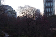 日本庭園