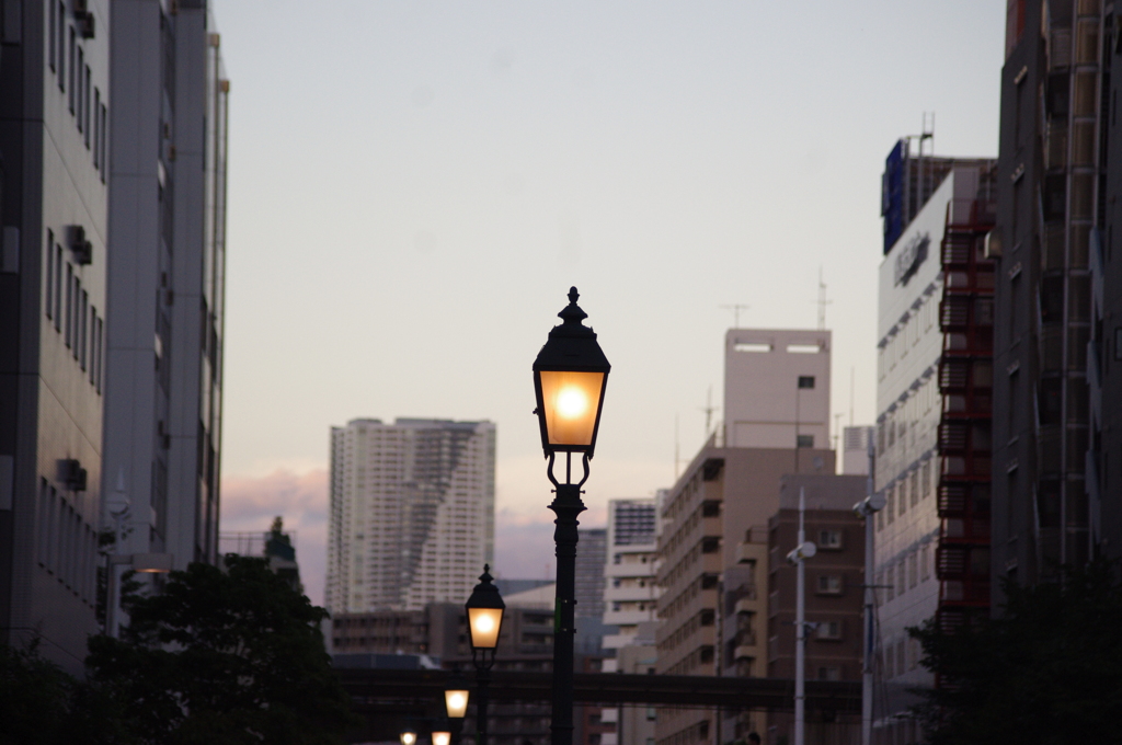 街の灯り　新芝運河　9月