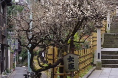女坂