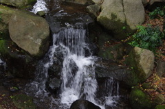 滝
