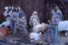 本来のクリスマスのイメージかな？　日比谷公園　１２月中旬