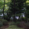 林　石神井公園