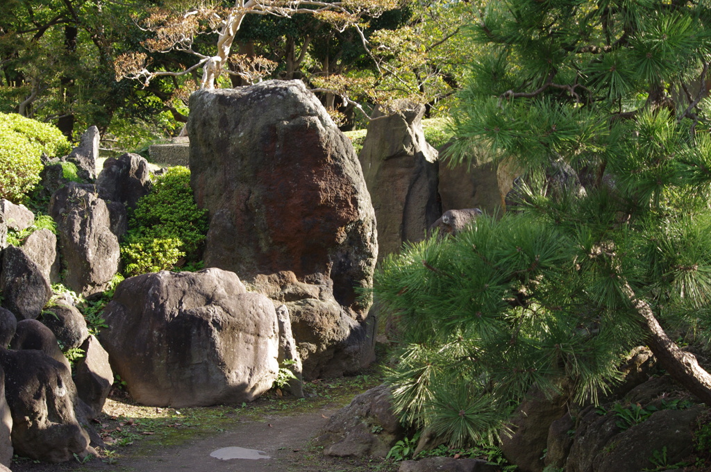 庭園風景　6