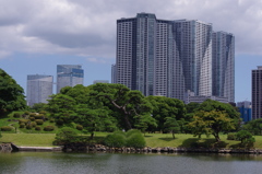 大都会の庭園