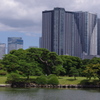 大都会の庭園
