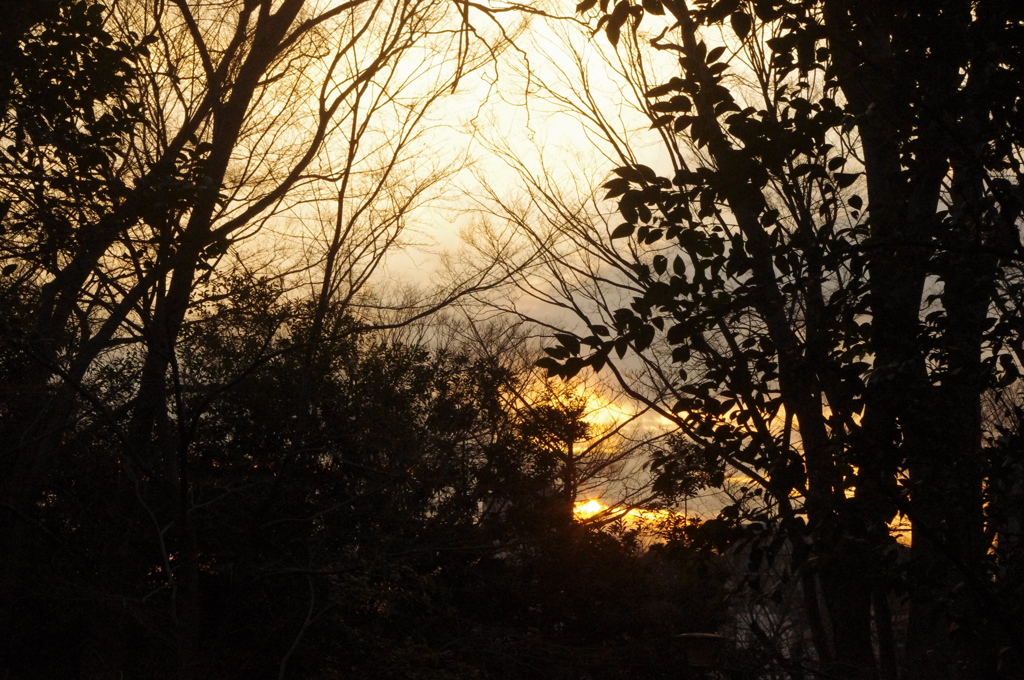 夕景　有栖川宮公園