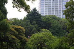 公園風景