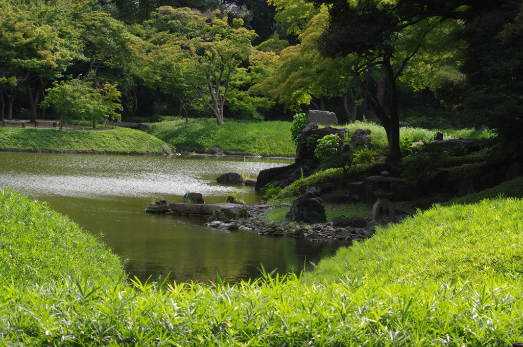 庭園風景