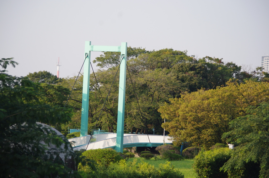 ブリッジ　野毛山公園　１０月