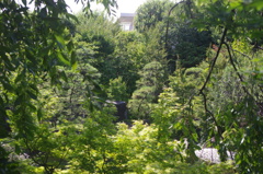目白庭園　風景　3