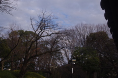 風景