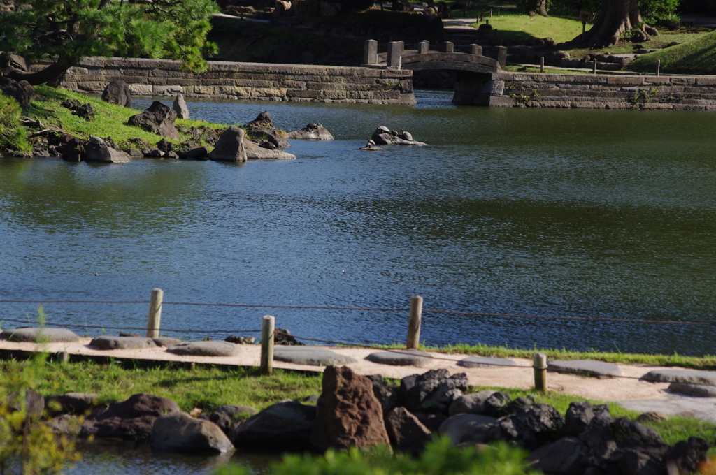庭園風景　1
