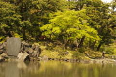 小石川後楽園　池