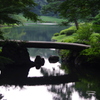 橋と池