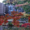 紅葉　2
