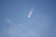 夏の飛行機雲　飛鳥山公園　９月