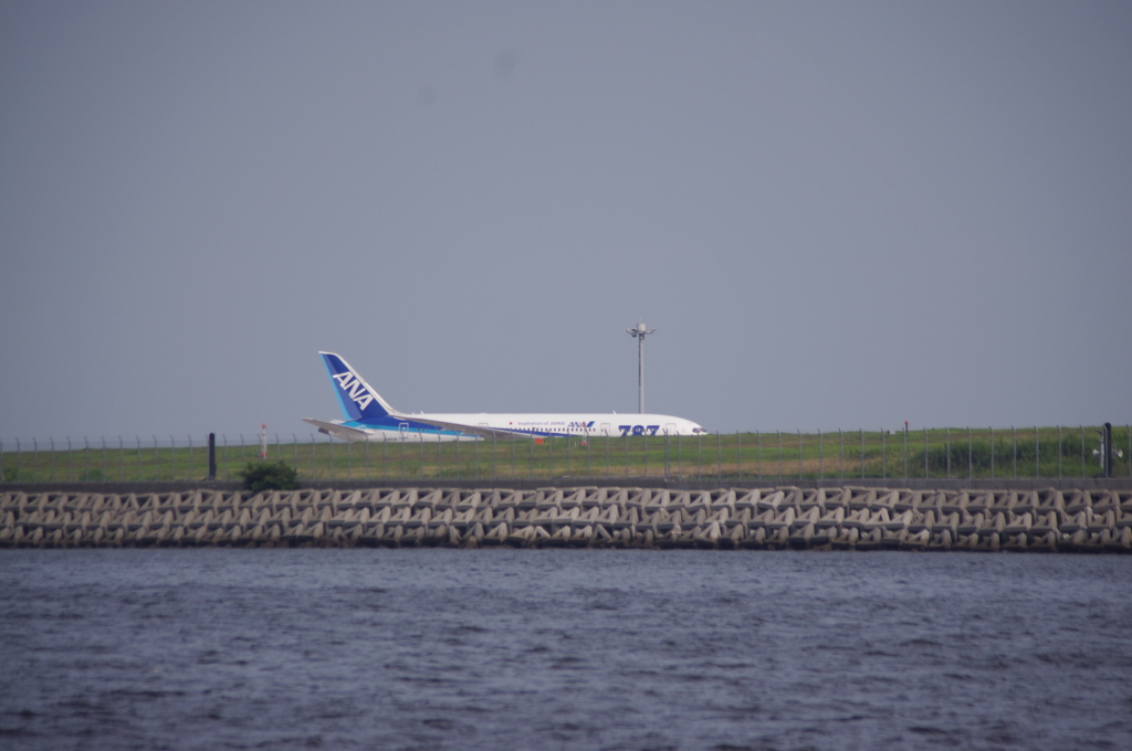 飛行機　2　つばさ公園　８月