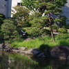 池と鷺　安田庭園　9月