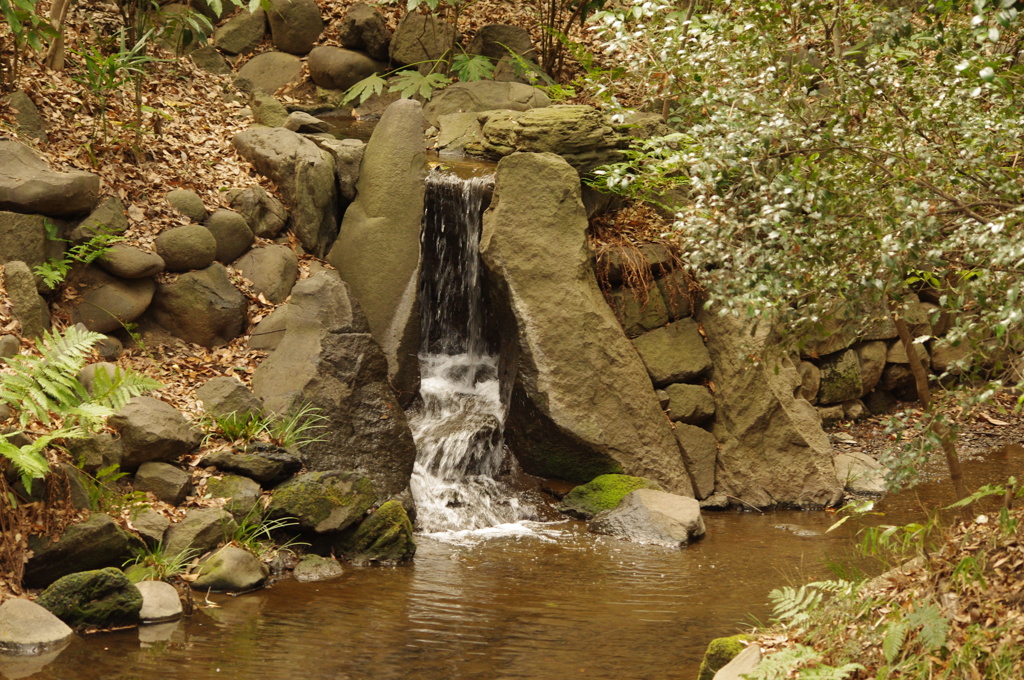 小石川後楽園　滝　２月下旬