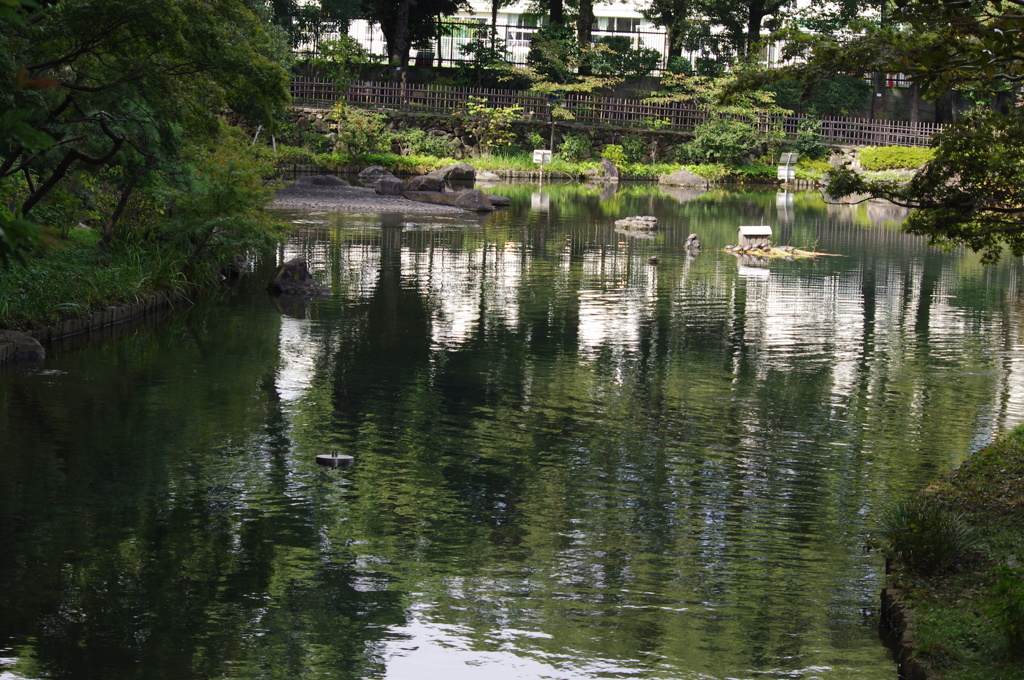 庭園風景　3