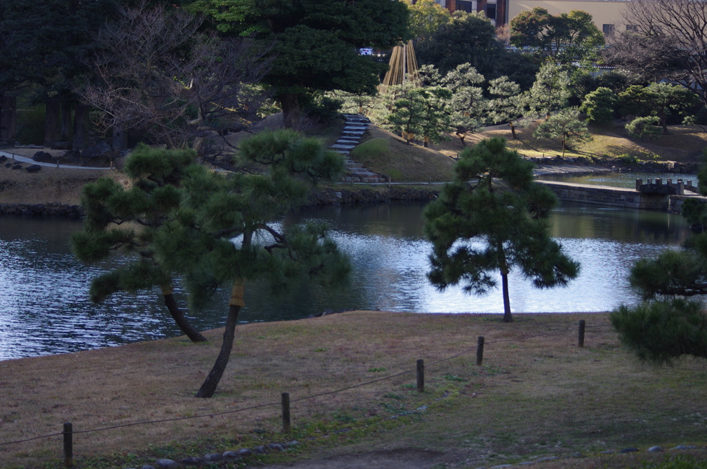 庭園風景