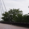 木場公園大橋　1　8月