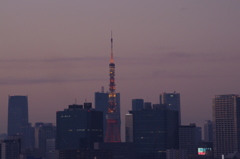 ブリッジから見る東京タワー