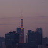 ブリッジから見る東京タワー