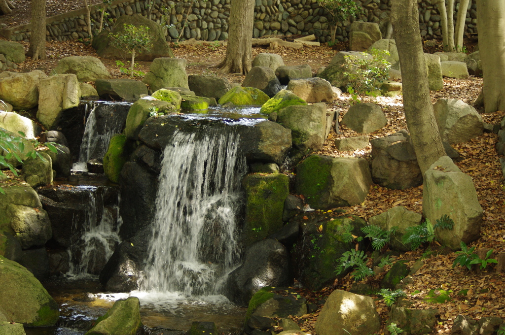 滝　戸越公園　7月