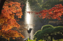 紅葉　2　日比谷公園　11月初め
