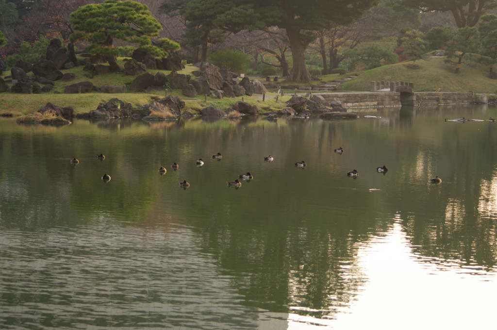 橋のある風景