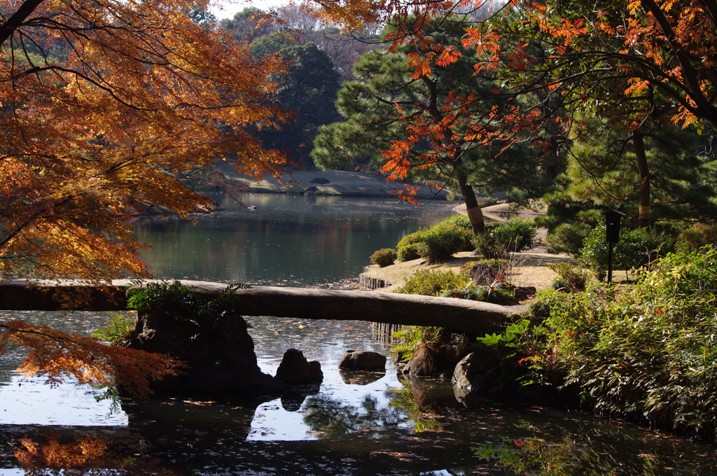 紅葉と橋