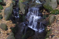 落ち葉と滝　戸越公園　１２月中旬