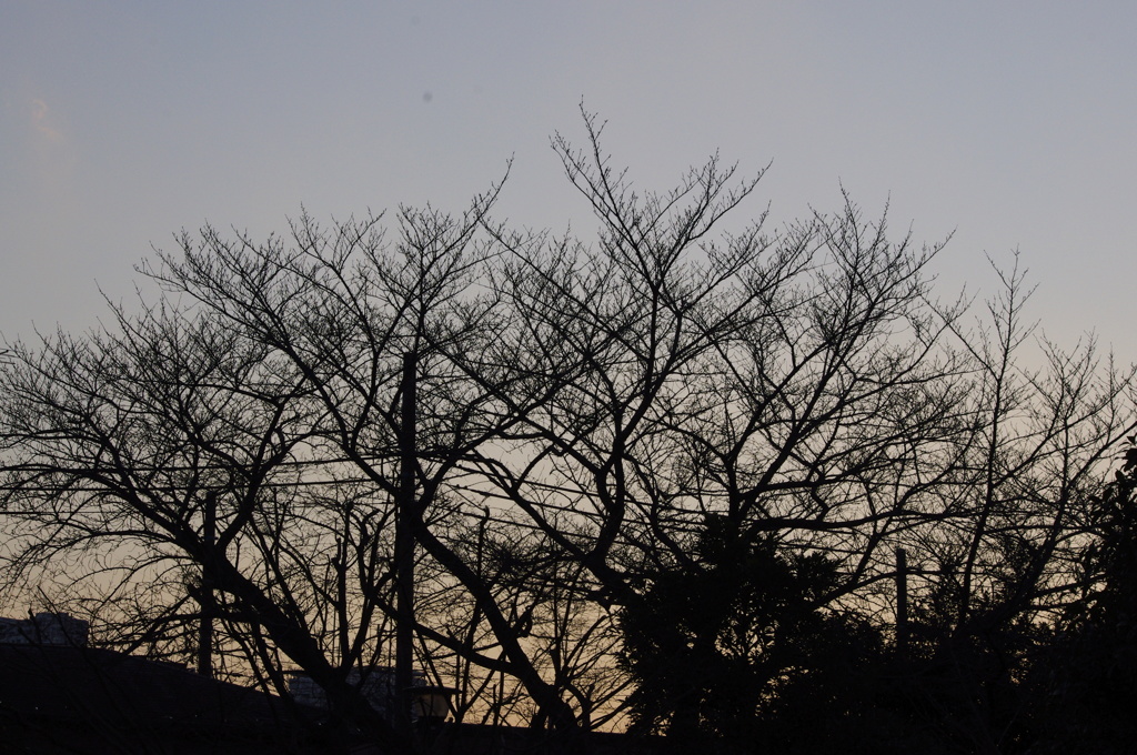 亀塚公園の夕方