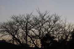 亀塚公園の夕方
