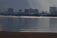 東京の砂浜