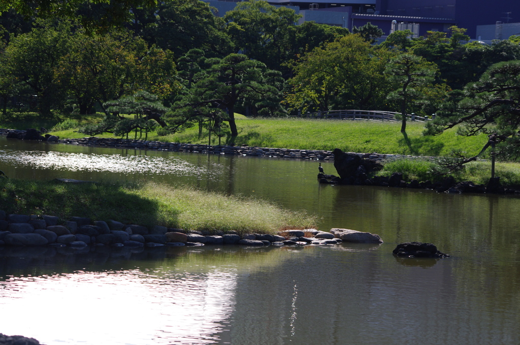 庭園風景　1