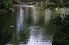 庭園風景　1