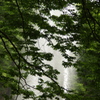 林と噴水　代々木公園　６月