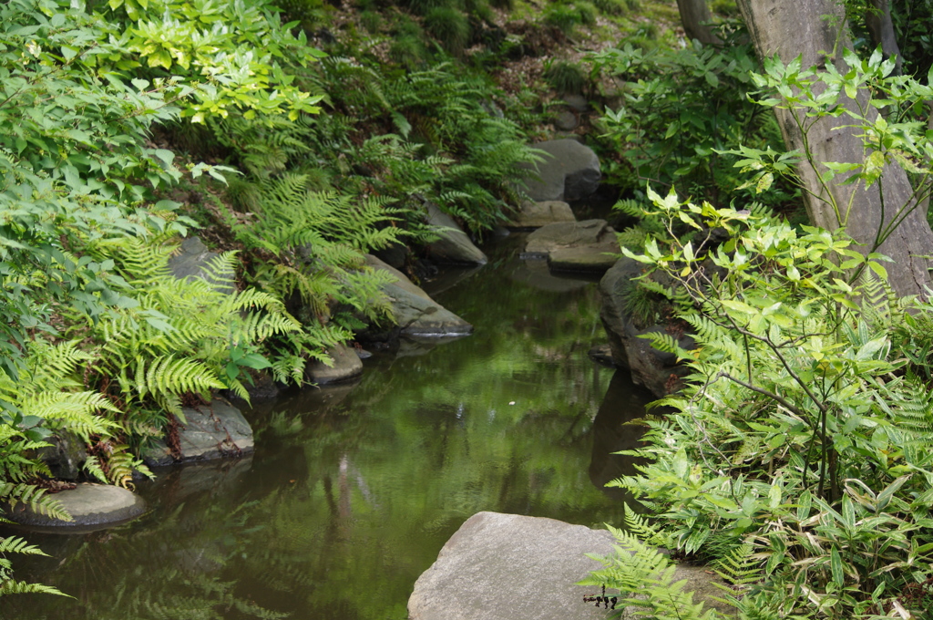 河のある風景