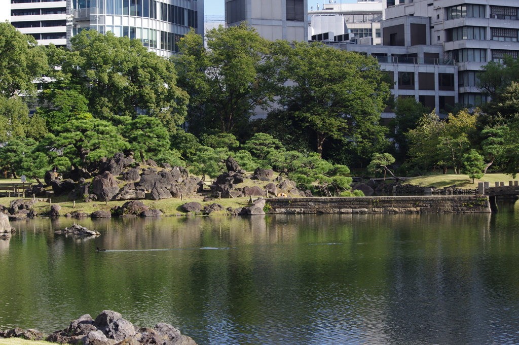 庭園風景　9