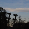 もう　夕暮れ　日比谷公園