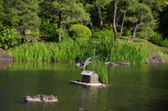 着地