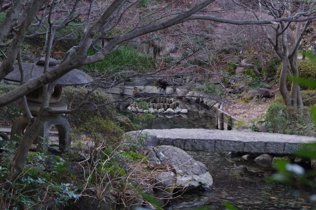 少しいつもと違う風景