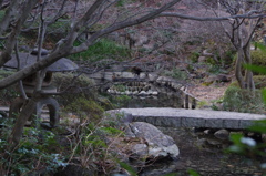 少しいつもと違う風景