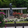 薔薇　1