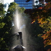 秋景色　4　日比谷公園　11月